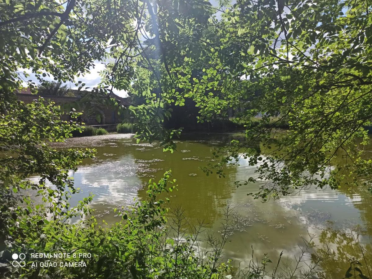 Maisonnette Independante 4 Personnes Jardin Terrasse Vrigne-aux-Bois Kültér fotó